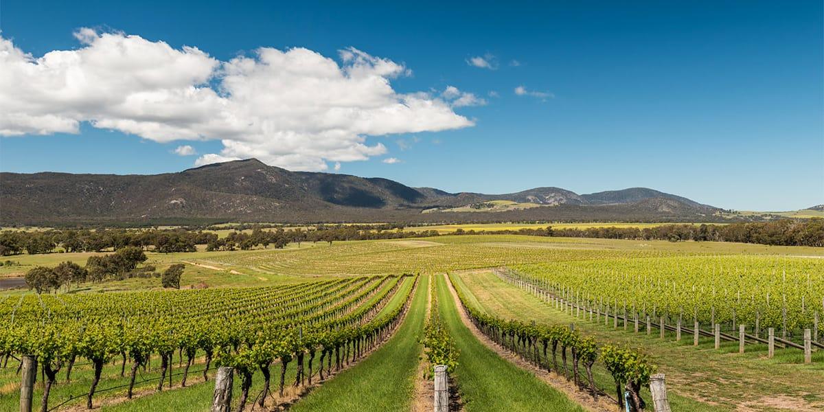 Grampians wines